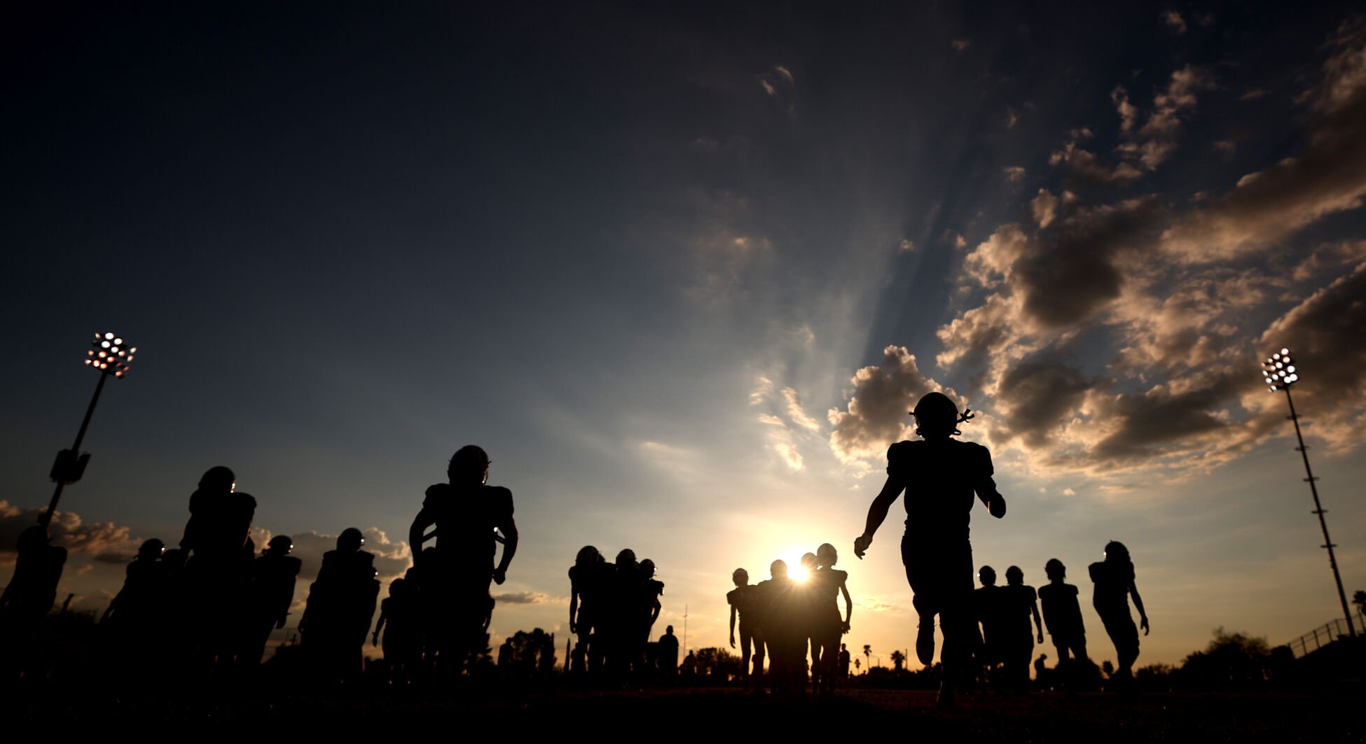 Desert View vs Sahuaro